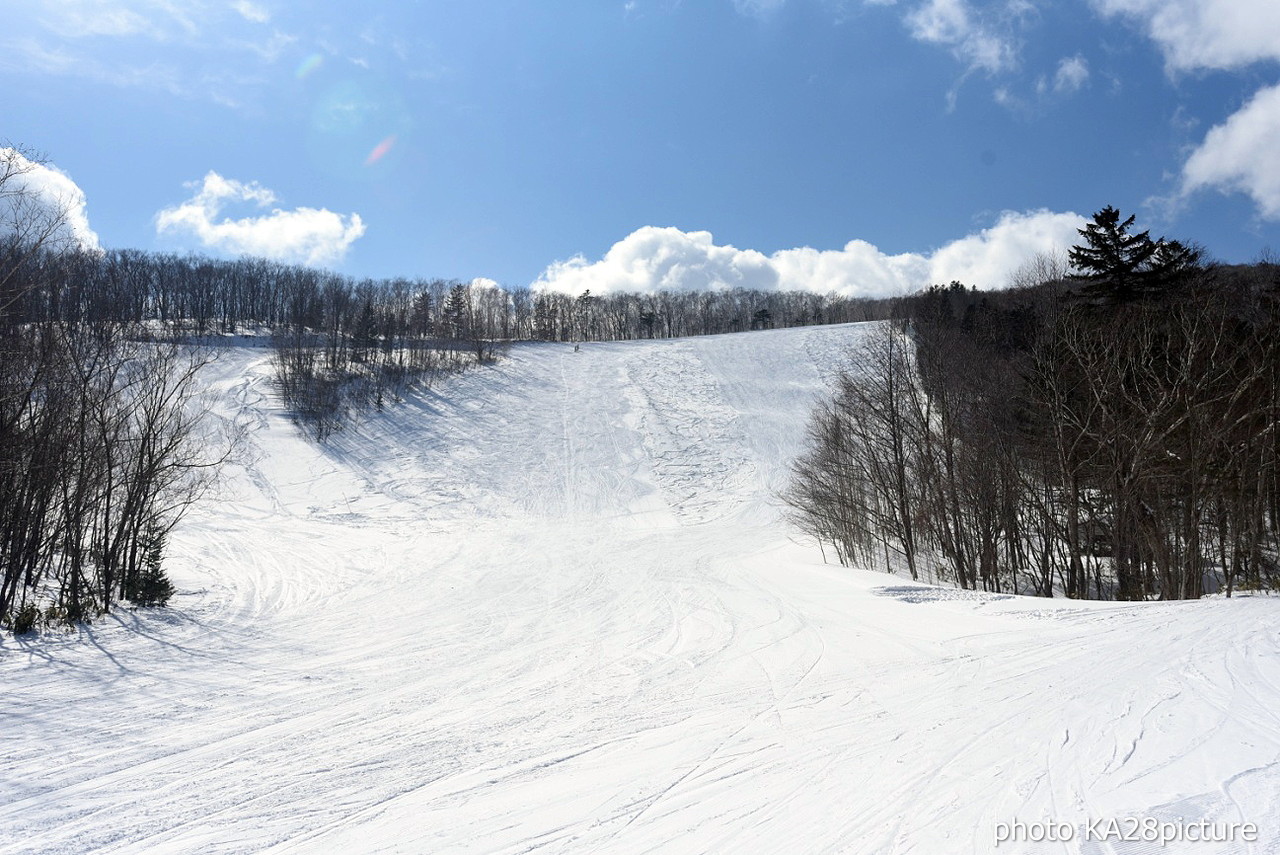 十勝サホロリゾート　雪質良好な北斜面『N3チャレンジコース』へエントリー!!